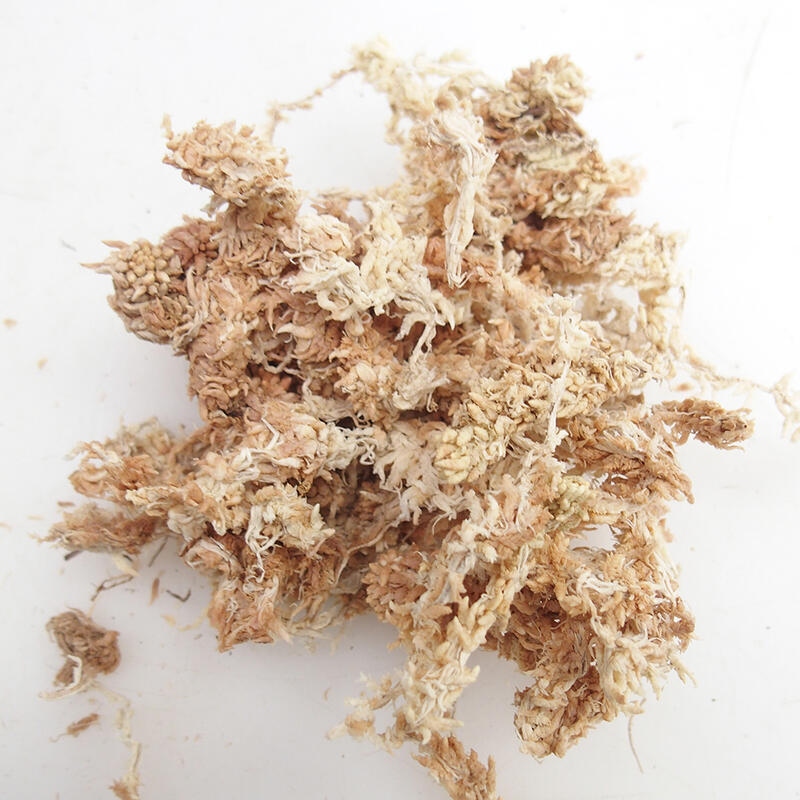 Sphagnum -  rašeliník 1 kg